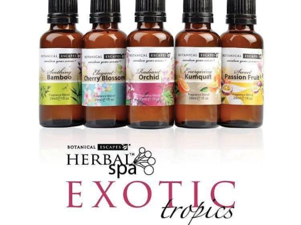 450417146_1195759544998826_1834209782002395935_n 450417146_1195759544998826_1834209782002395935_n