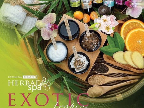 450757886_873972344591794_1508646048269432542_n 450757886_873972344591794_1508646048269432542_n